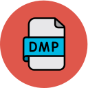 archivo dmp 