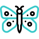 mariposa icon