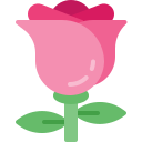 rosa 