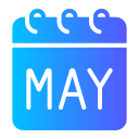 mayo icon