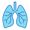 pulmones 