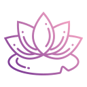 цветок лотоса 