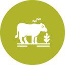 vaca icon