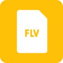 flv icon