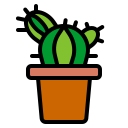 cactus icon