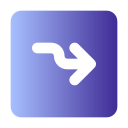 flecha correcta icon