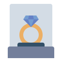 anillo icon