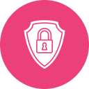 seguridad icon