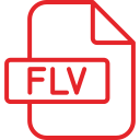 flv icon