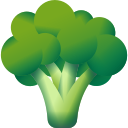 Broccoli icon