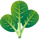 Spinach icon