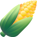 Corn icon