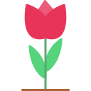 tulipán icon