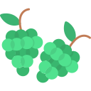 uvas icon