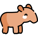 tapir