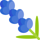 lavanda icon