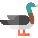 pato icon