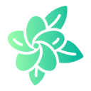 frangipani icon