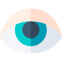 ojo icon