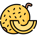 melón icon