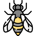 abeja icon