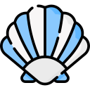 concha icon