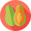 papaya icon