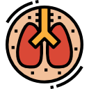 Lungs 