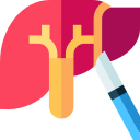 hepatectomía icon