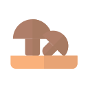 Mushroom 