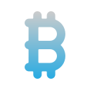 bitcoin icon