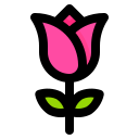 flor rosa icon