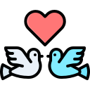 pájaros del amor icon