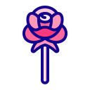 rosa