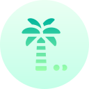 palmera icon