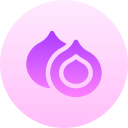 macadamia icon