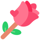 rosa icon