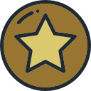 estrella icon