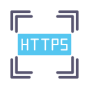 https icon