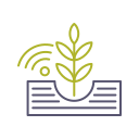 plantación icon