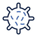Virus 