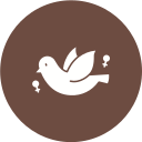 pájaro icon