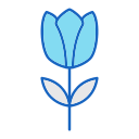 tulipán icon