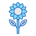 girasol icon