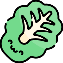 lechuga icon