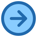 flecha correcta icon