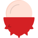 lychee icon