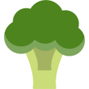 brócoli icon