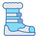 zapato icon