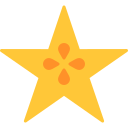 fruta estrella